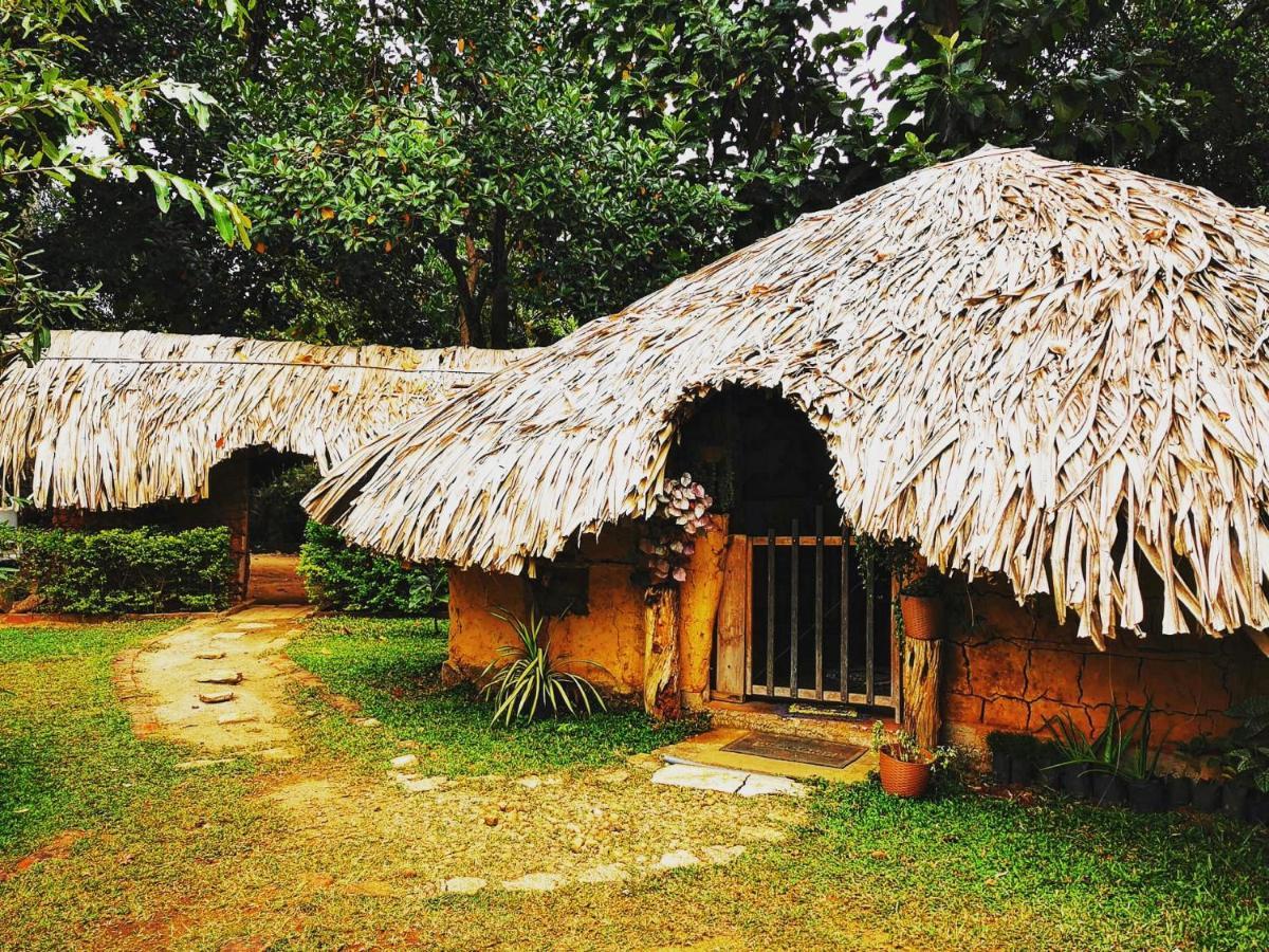 Hasthi Safari Cottage Udawalawe Esterno foto