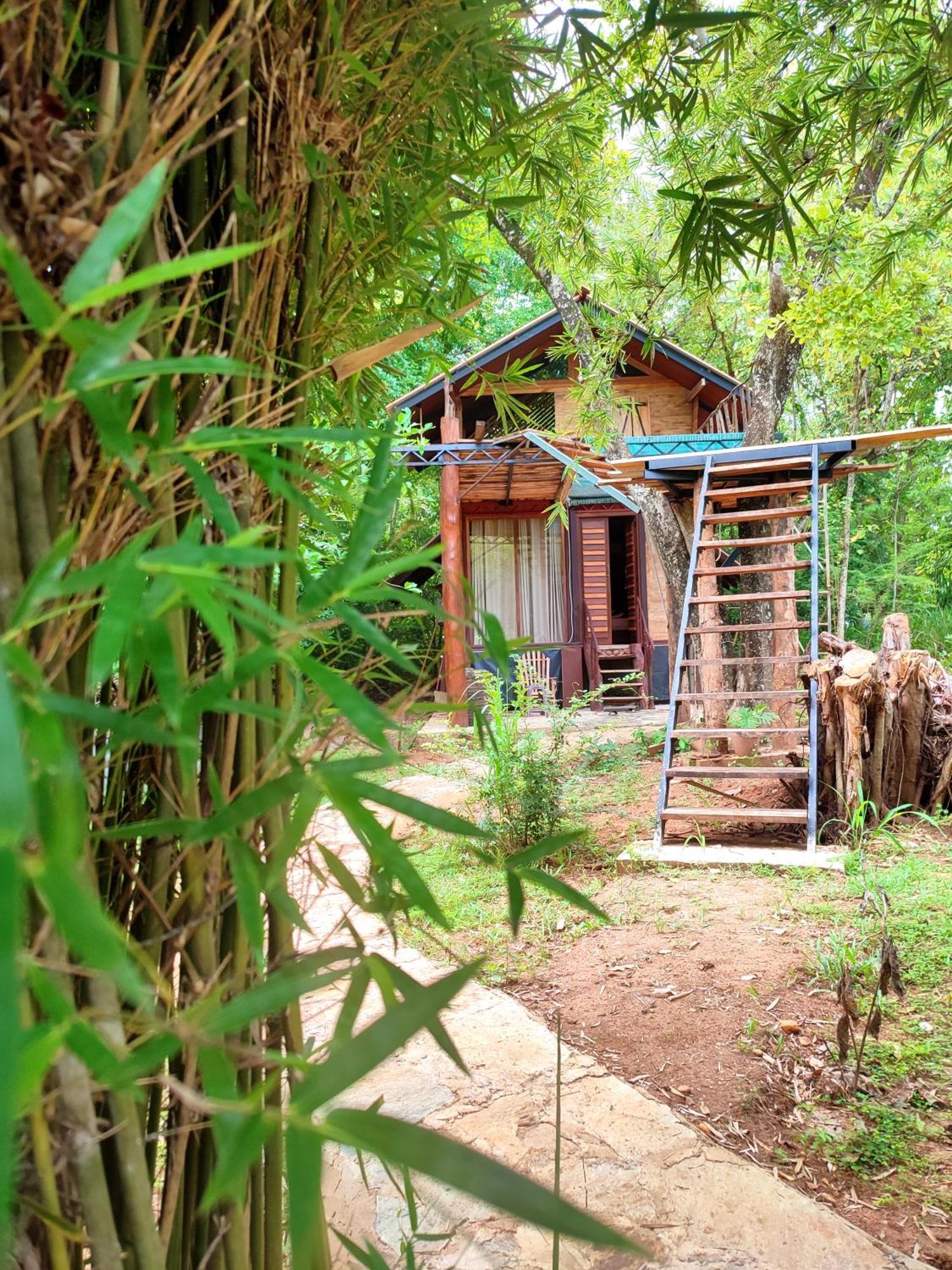 Hasthi Safari Cottage Udawalawe Esterno foto