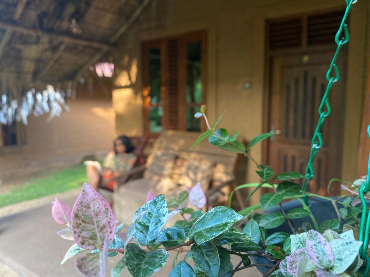 Hasthi Safari Cottage Udawalawe Esterno foto