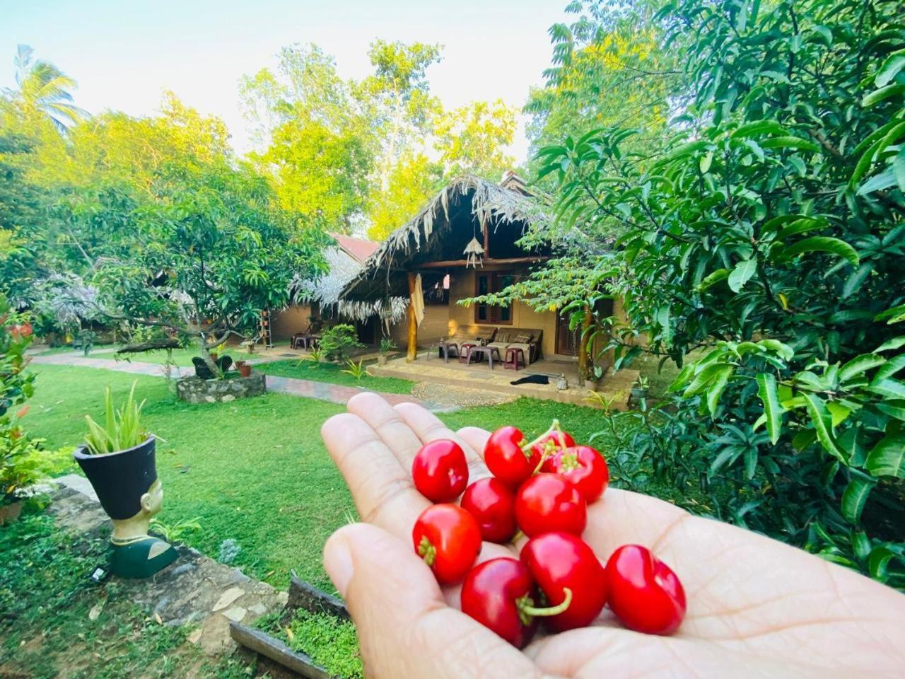 Hasthi Safari Cottage Udawalawe Esterno foto
