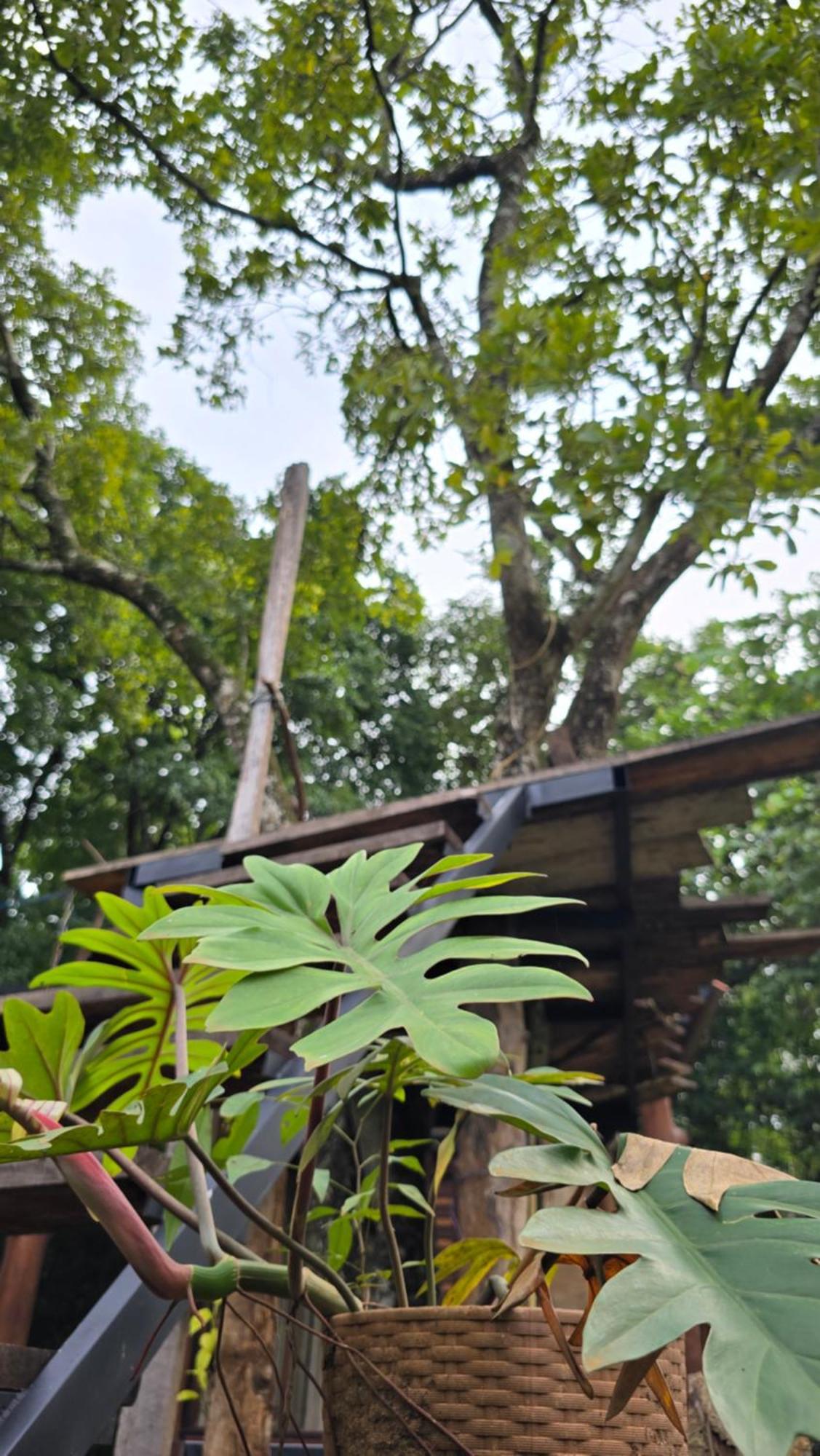 Hasthi Safari Cottage Udawalawe Esterno foto